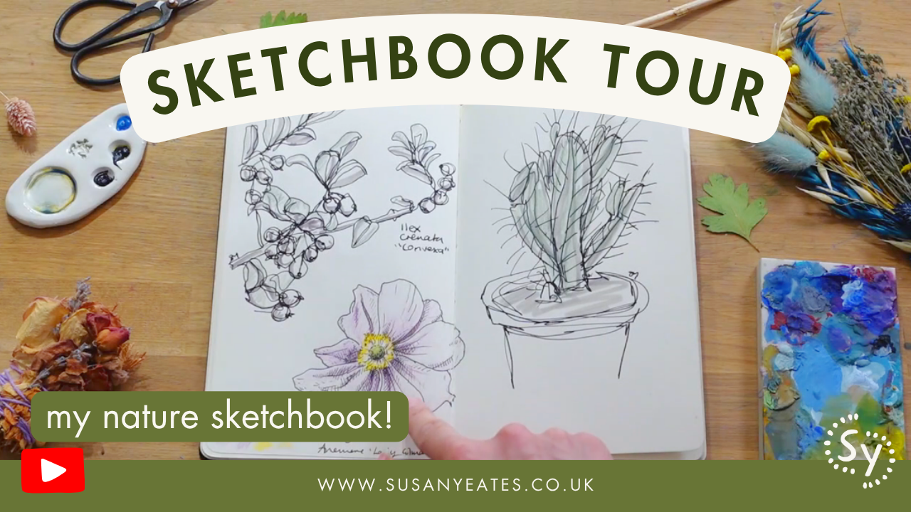 My Nature Sketchbook Flip-Through 🍃 (+ 5 Surprising Things I Learnt)