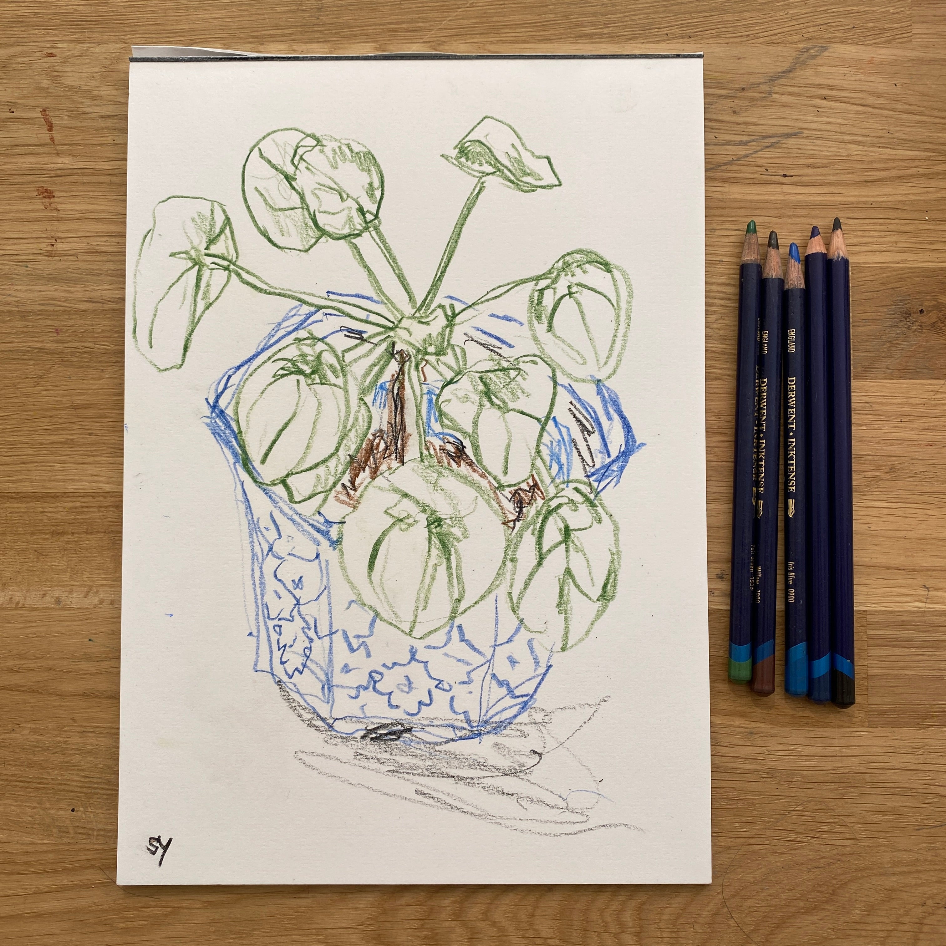 Sketching Eden Retreat (8th-10th May 2026) - £50 DEPOSIT