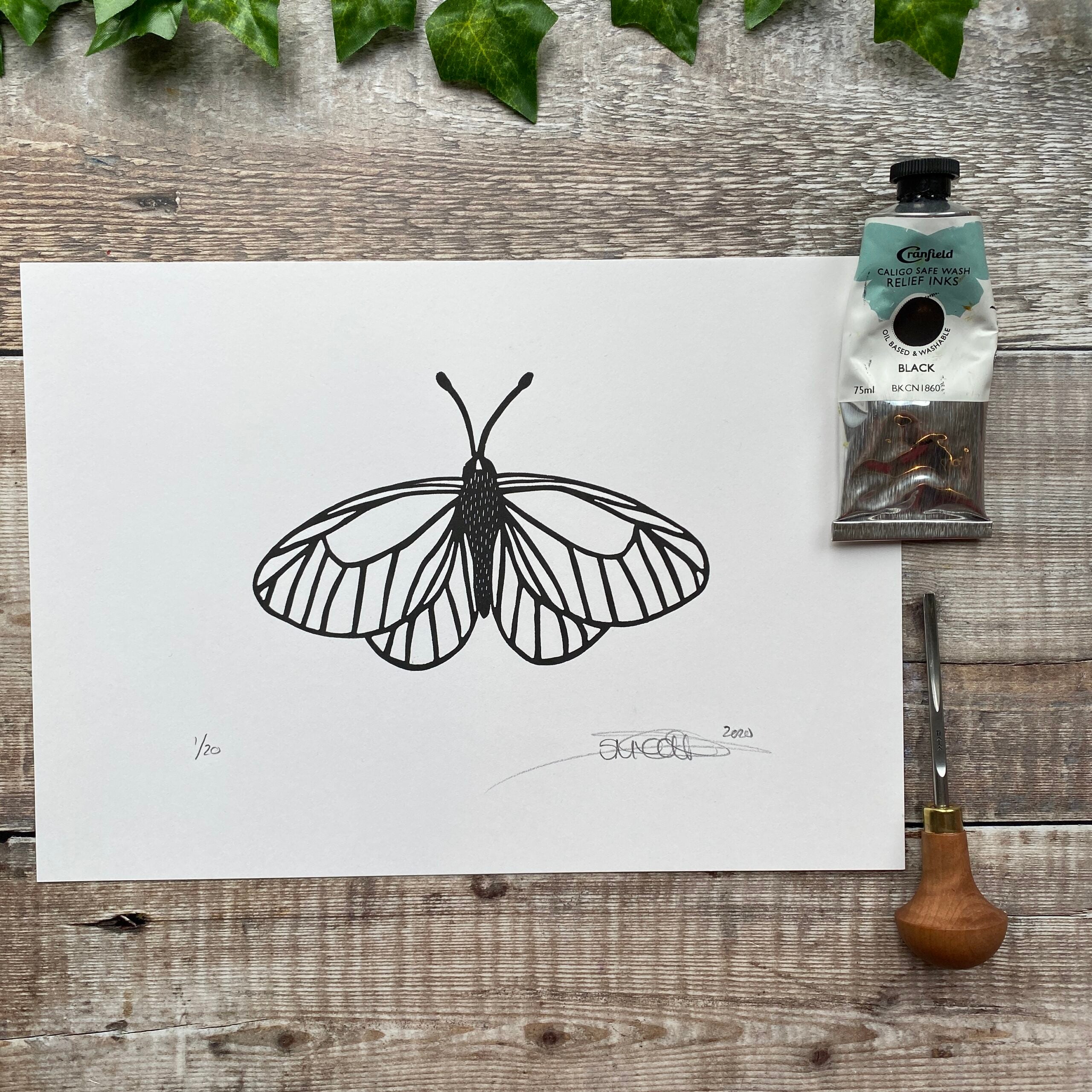 Butterfly Linocut Print (based on a 'Black Veined White')