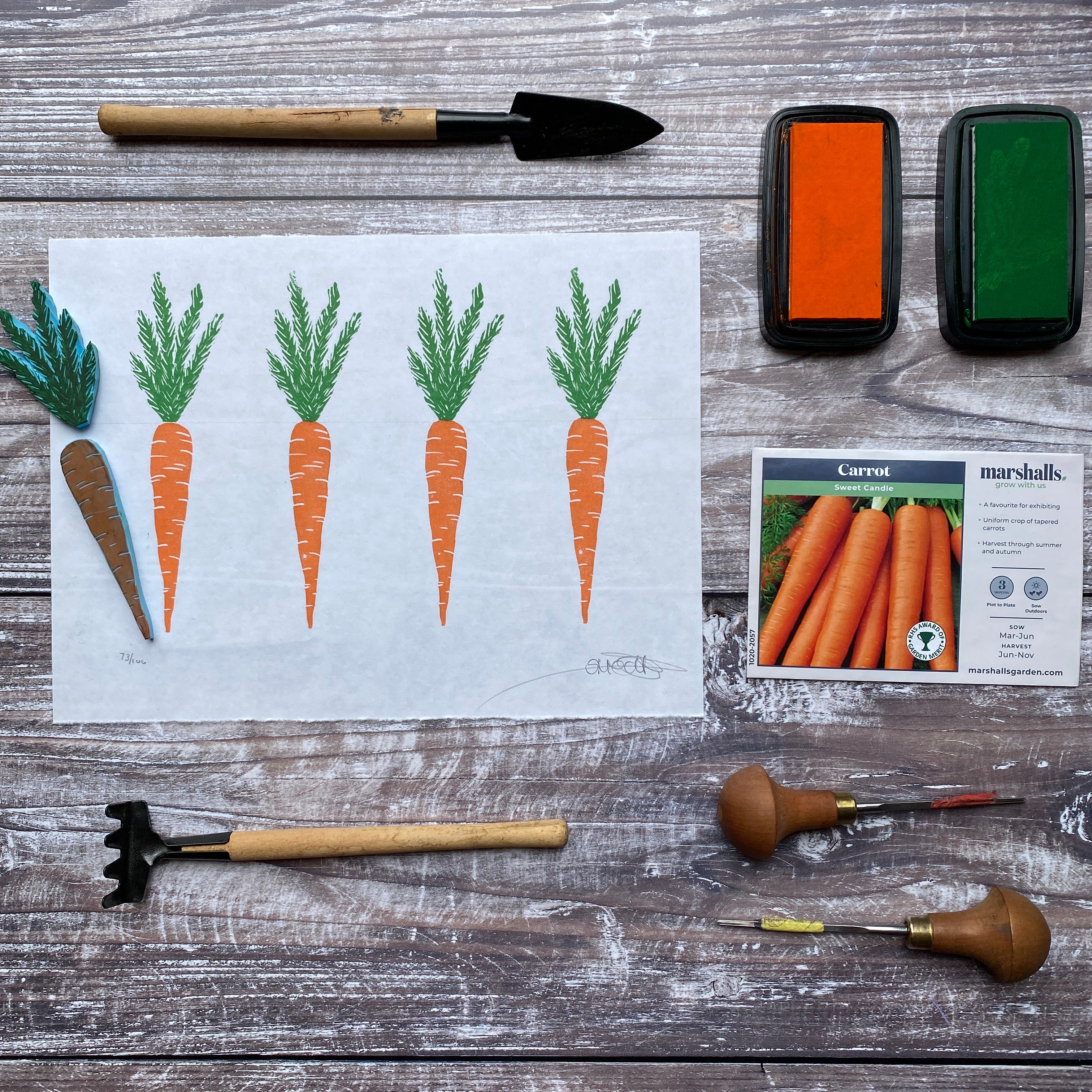 Four Carrots - Multi-Coloured Block Print
